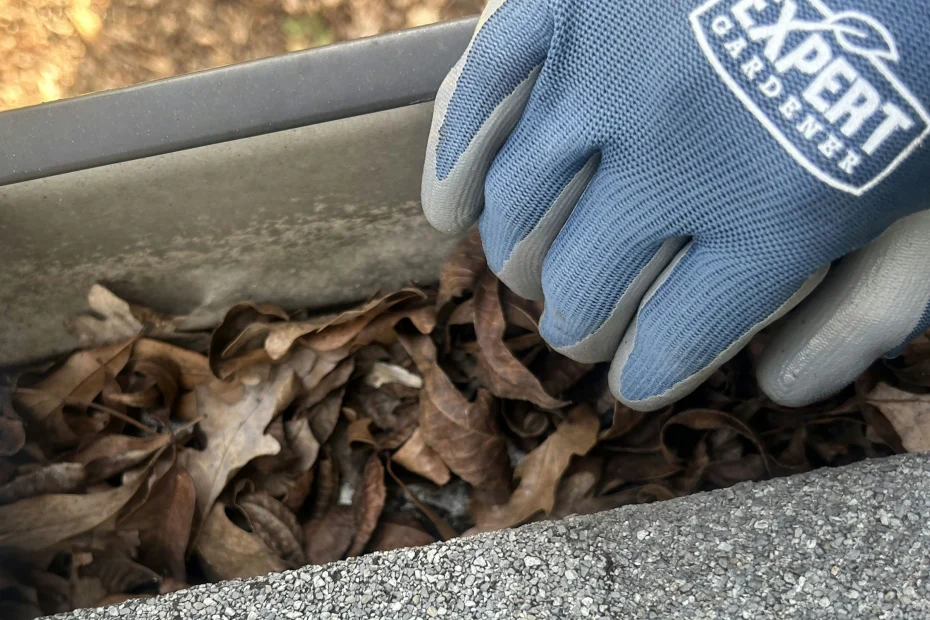 Gutter Cleaning Greenville DE