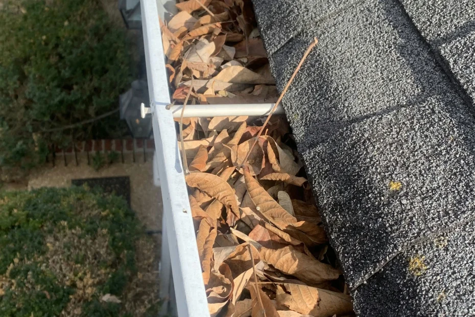 Gutter Cleaning Greenville DE