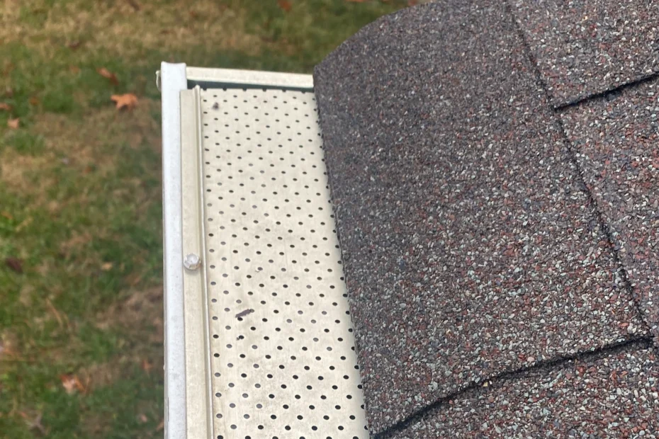 Gutter Cleaning Greenville DE