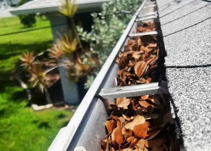 Gutter Cleaning Greenville DE home page